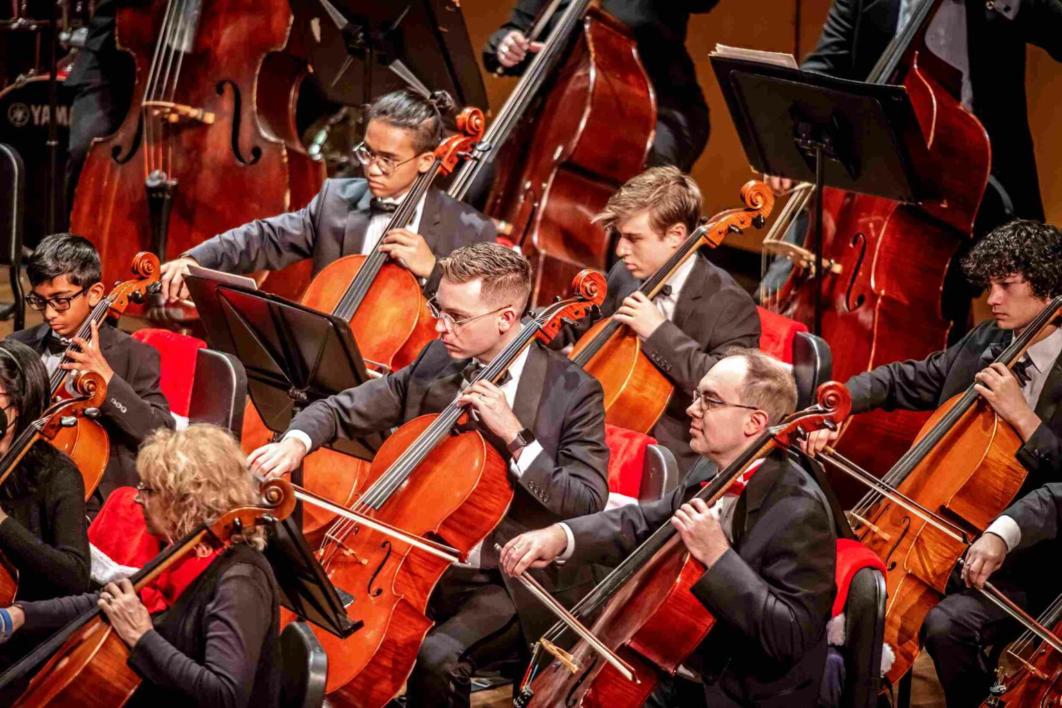 Orchestra Auditions New Albany Symphony Orchestra